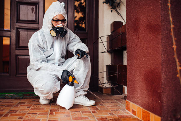 Reliable Ant Control contractor in Chauvin, LA by Nex Pest Control