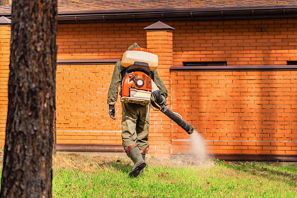 Top rated local Ant Control specialists in Chauvin, LA